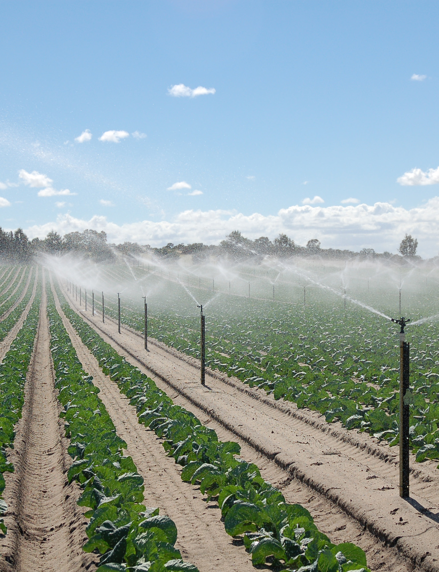 Evaporation based Irrigation Scheduling Agriculture And Food